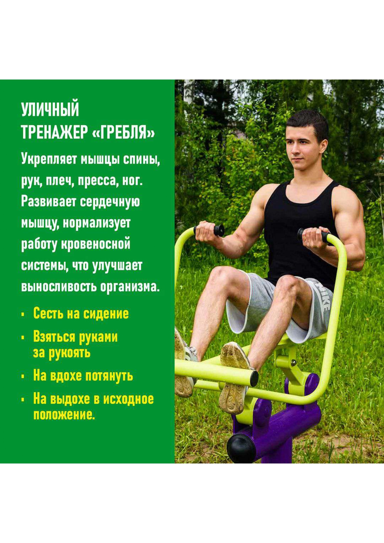 Изображения.